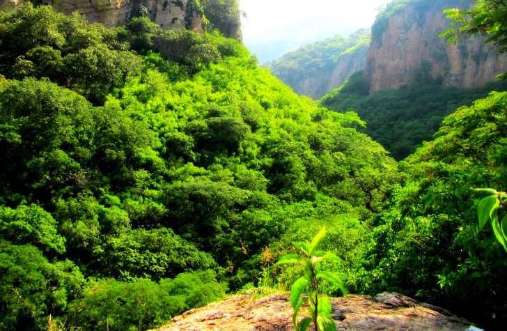 Fotos de Cañón de la Garita